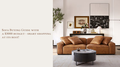 Sofa Buying Guide with a $3000 budget - smart shopping at its best!