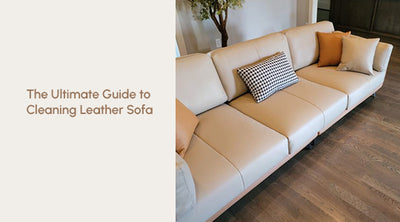 The Ultimate Guide to Cleaning Your Leather Sofa.