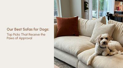 Our Best Sofas for Dogs: Top Picks That Receive the Paws of Approval