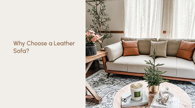 Why Choose a Leather Sofa?