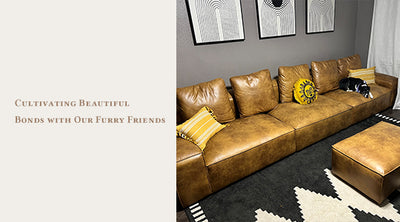 Salo Classic Air Leather Pad Sofa：Cultivating Beautiful Bonds with Our Furry Friends
