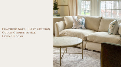 Feathers Sofa - Best Cushion Couch Choice in All Living Rooms