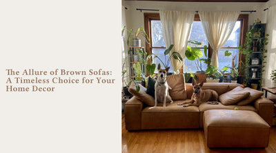 The Allure of Brown Sofas: A Timeless Choice for Your Home Decor
